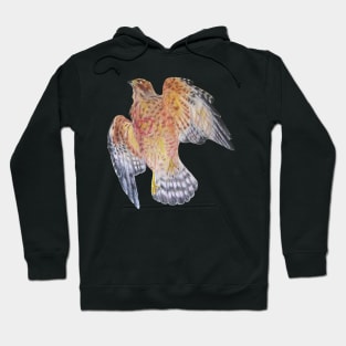 Falcon Rebirth Hoodie